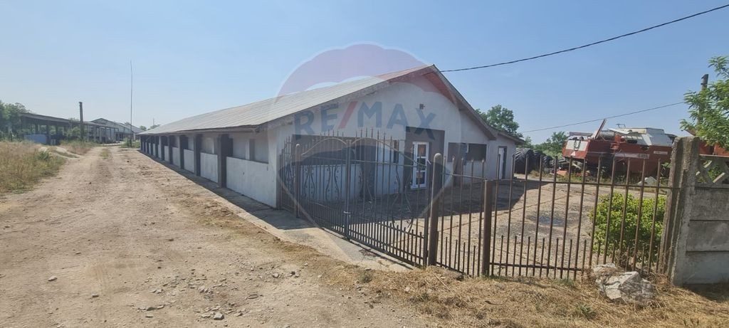 Hala de productie moderna de vanzare in Ulmeni