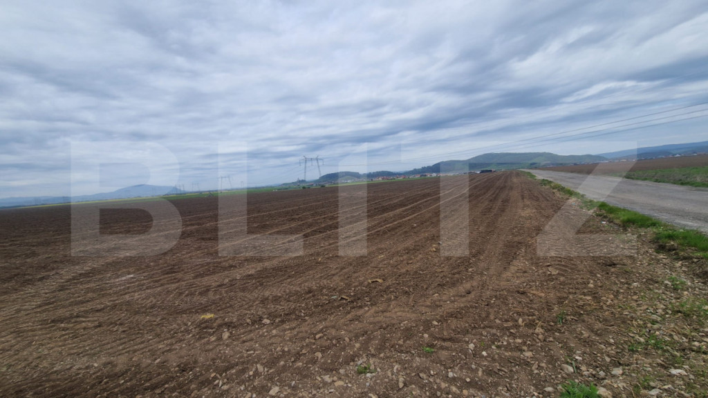 Teren agricol - 18000 mp - Harman - Dn 11 - pretabil agricol