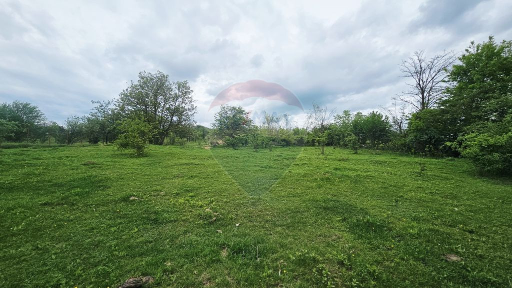 Teren 5,350mp Dobreni / Strada Manastirea Horaita