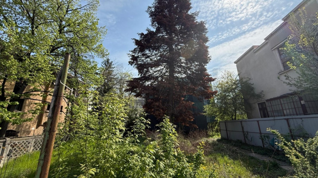 Teren Aviatorilor