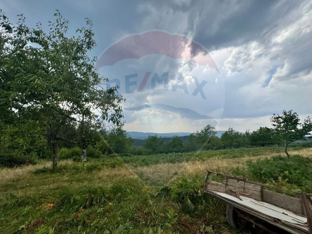 Teren pe deal cu vedere panoramica Halmagiu - Sat Brusturi