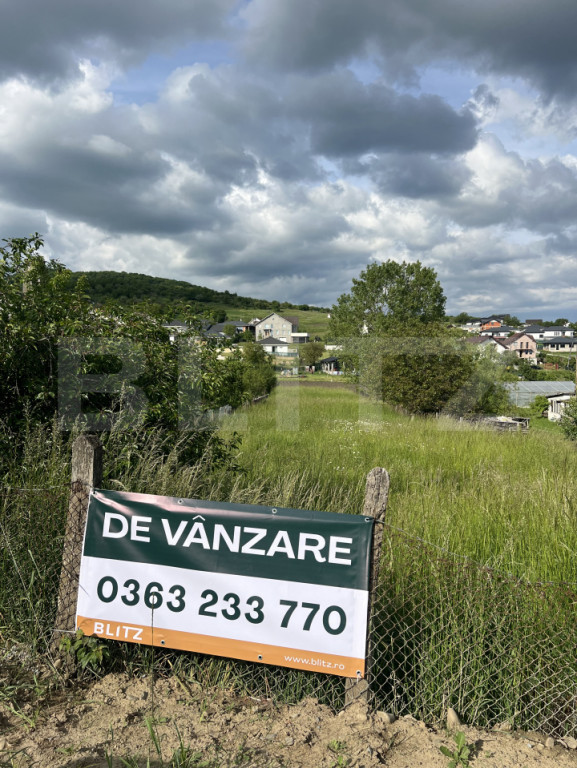 Teren intravilan pentru casa 12.4 ari, zona Subcetate