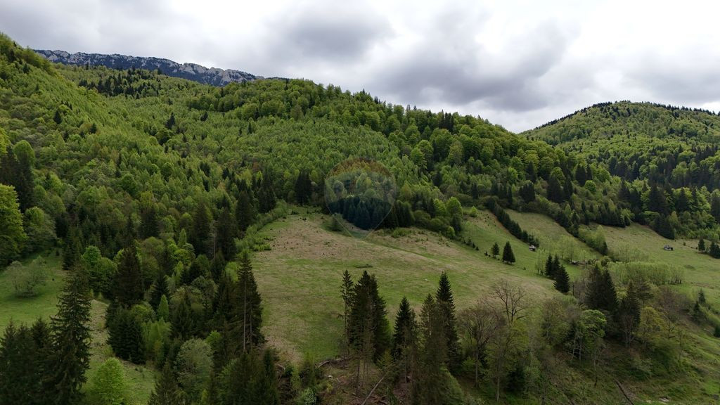 Extravilan + Intravilan | Sătic-Rucăr | Cadru natural |...