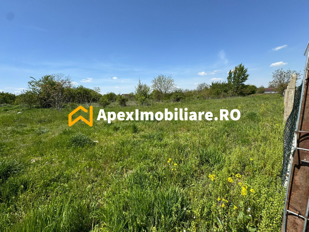Teren intravilan de vanzare Cornetu IF | ApexImobiliare.ro