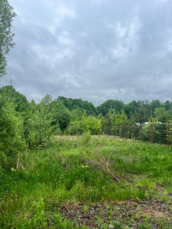 Teren intravilan, 2300mp, zona Hardic, Horodnic de Sus, Rada