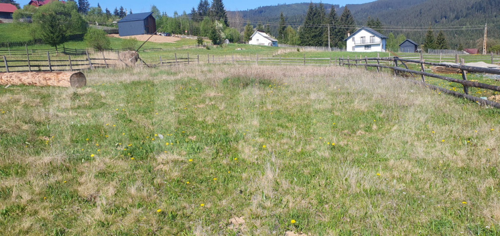Teren intravilan, 979 mp, zona Plaiu Sarului - Vatra Dornei