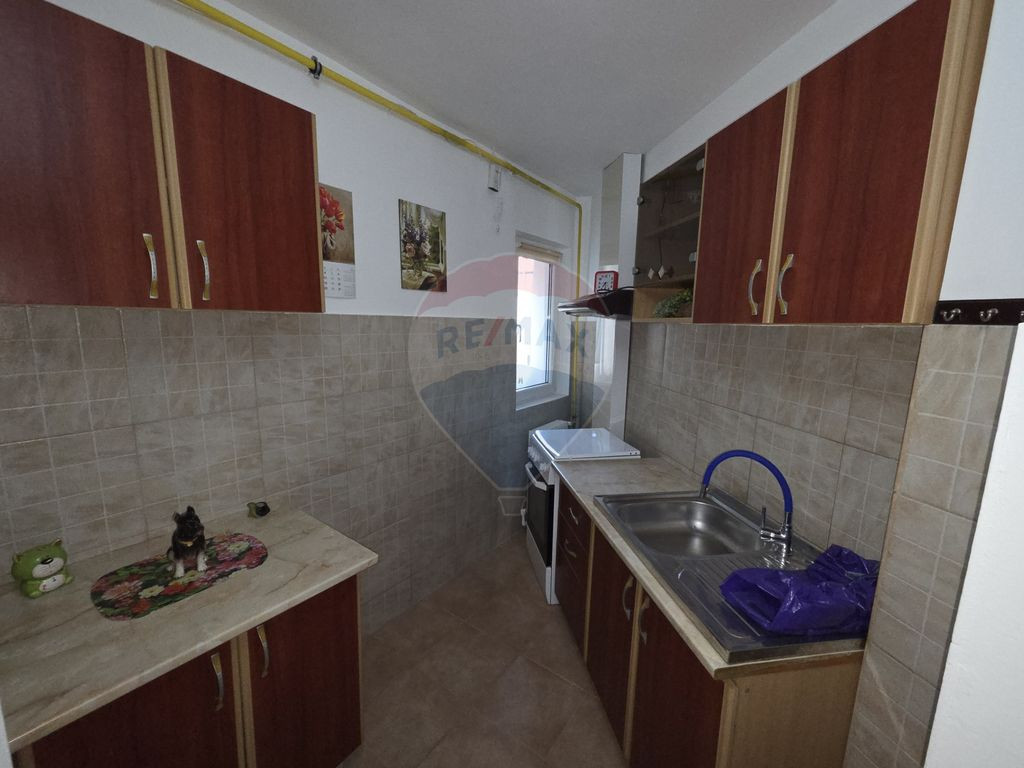 Garsoniera, zona Brailei