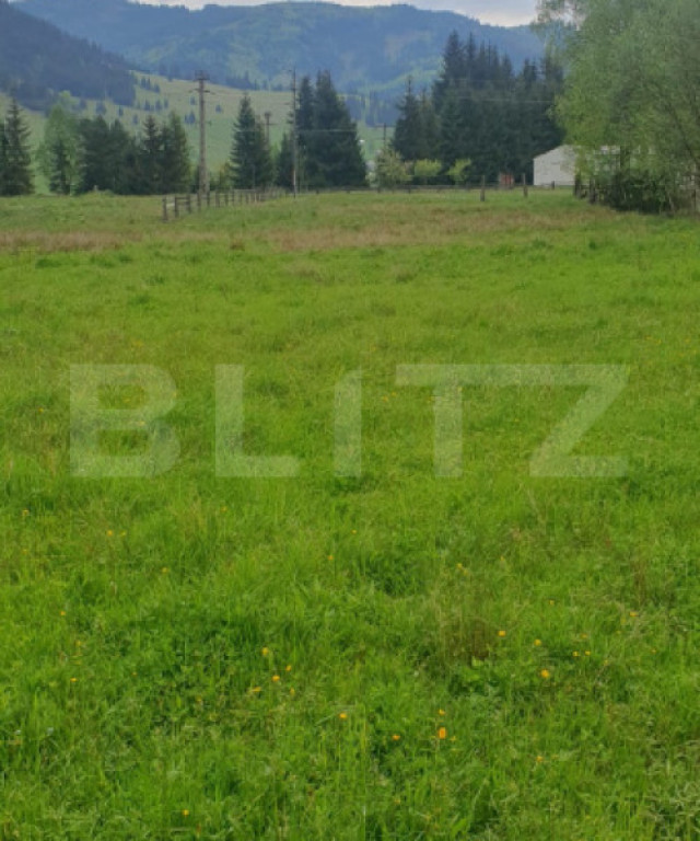 Teren intravilan, 8095 mp, zona Saru Dornei - Vatra Dornei