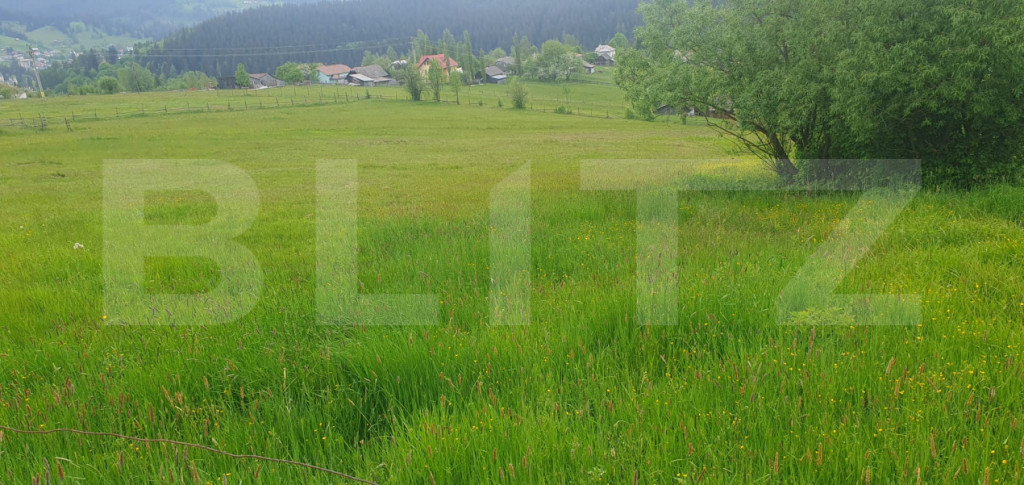Teren intravilan, 9964 mp, zona Vatra Dornei