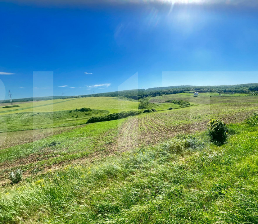Teren intravilan de vânzare – Stâncești, la stradă