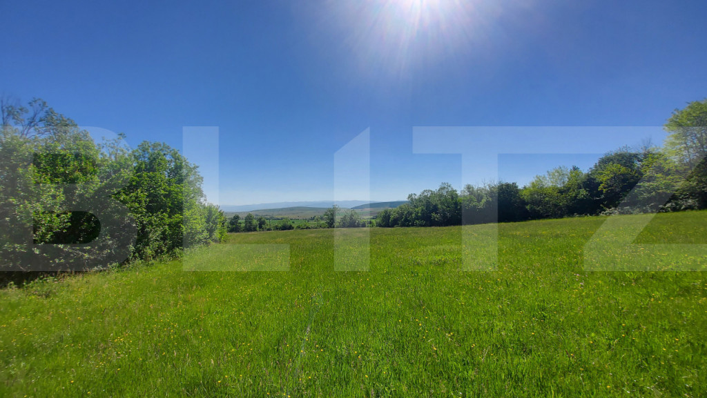 Investiție – 3,6 ha Glamping, Pensiune sau Centru Ecvestr