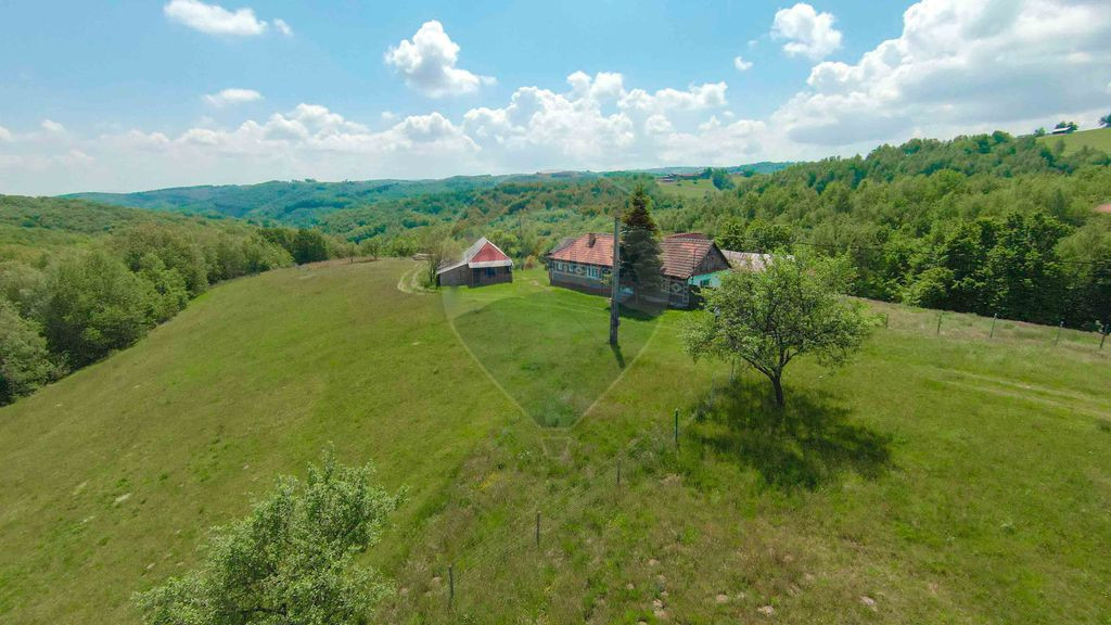 De vânzare casă cu teren și pădure 55706 mp - Șinteu...