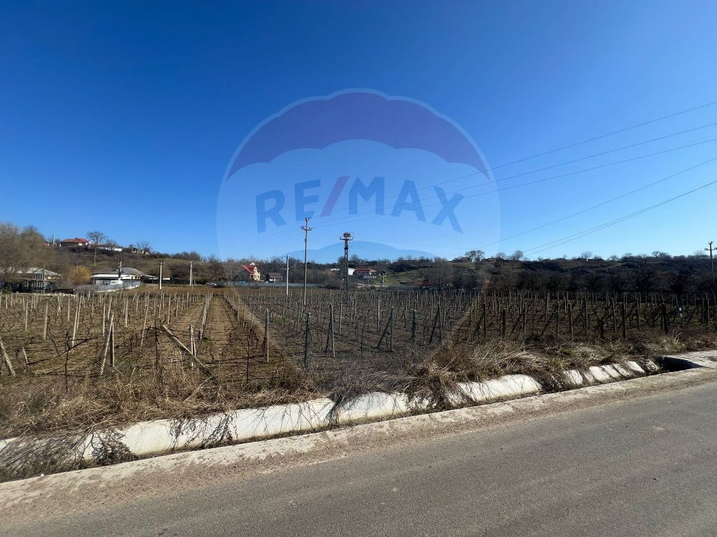 Teren intravilan Movilita, 2700mp