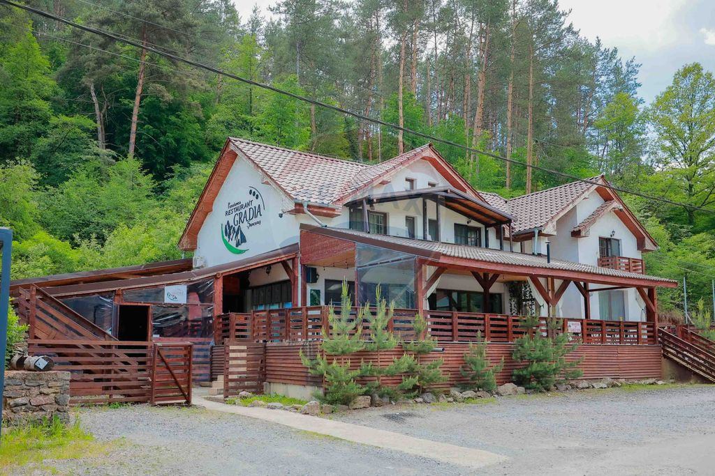Pensiune cu 6 camere și restaurant de vânzare în Șunc...