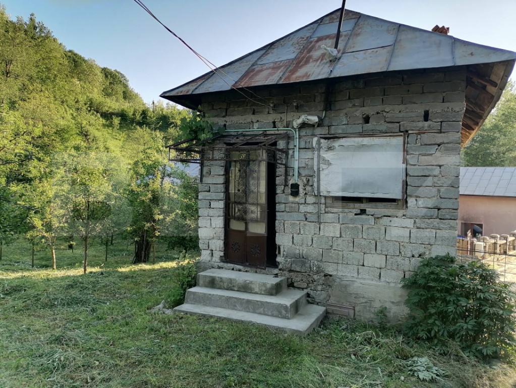 Casă la rRșu cu Livadă, Teren 1000 mp. Gemenea Brătule?
