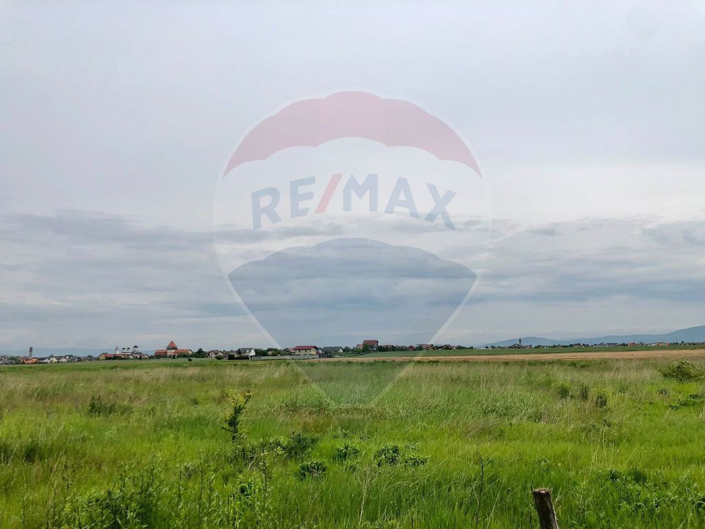 Comision 0% | 4 Parcele 538mp | Harman, Strada MIHAIL SAD...