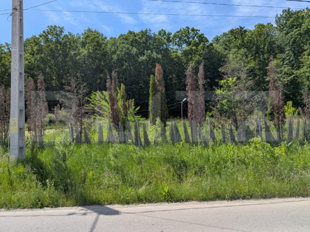 Hulubești, Butoiu de Jos Teren intravilan cu Panoramă Sup