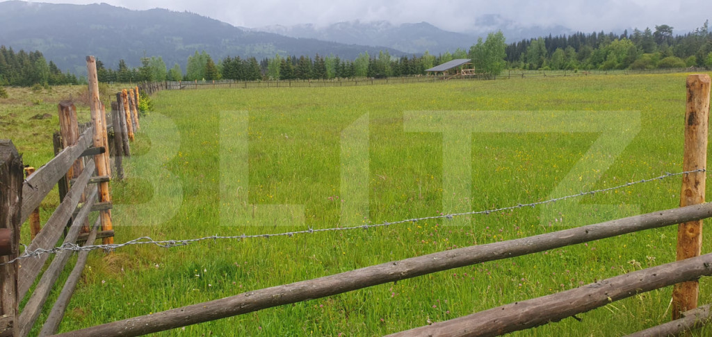 Teren extravilan, 6200 mp, zona Saru Dornei - Vatra Dornei