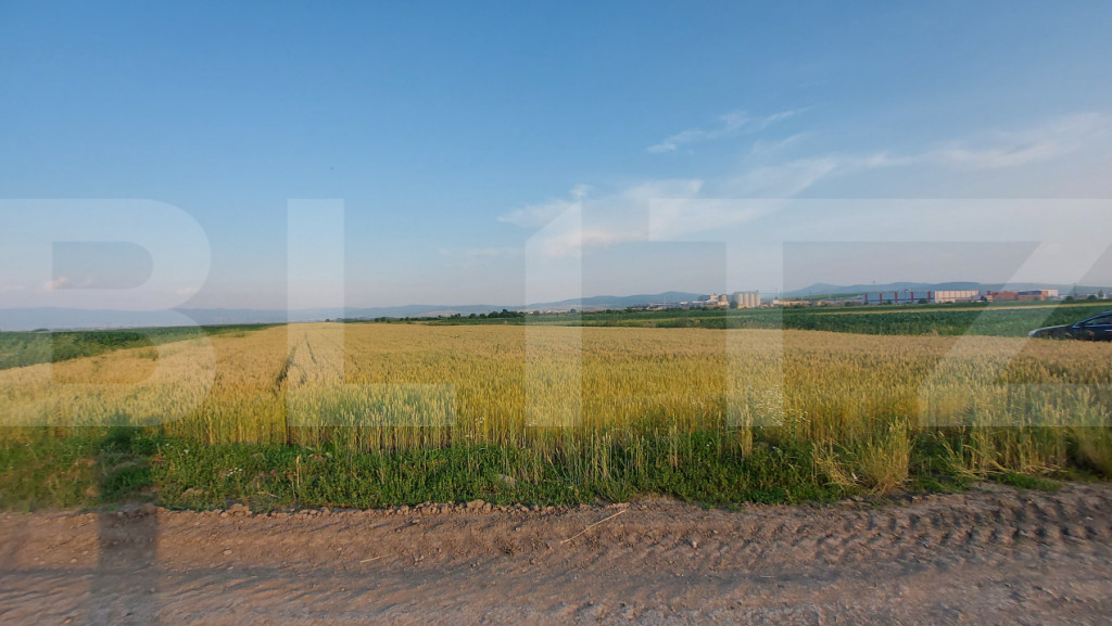 Teren arabil 9.000 mp în Moacșa – investiție într-o zo