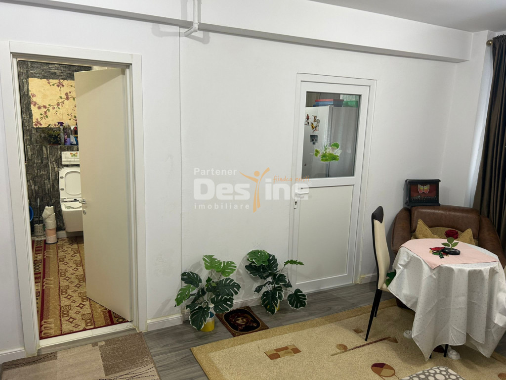 Apartament 1 camera 29,4 mp MOBILAT și UTILAT - Bucium-Visa