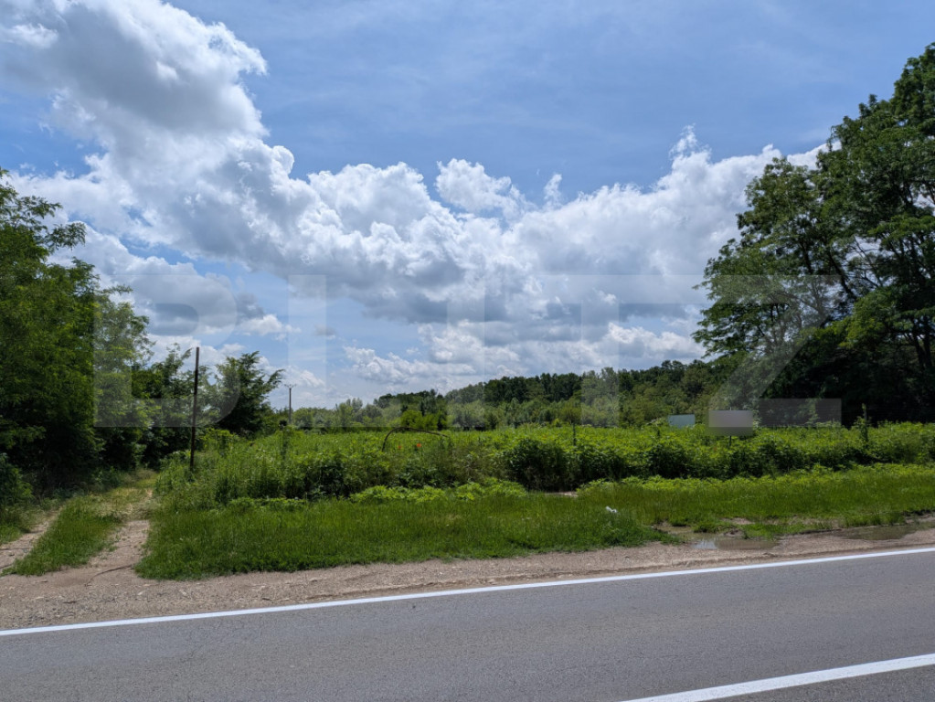 Teren extravilan, 12700 mp, oportunitate de investitie, zona
