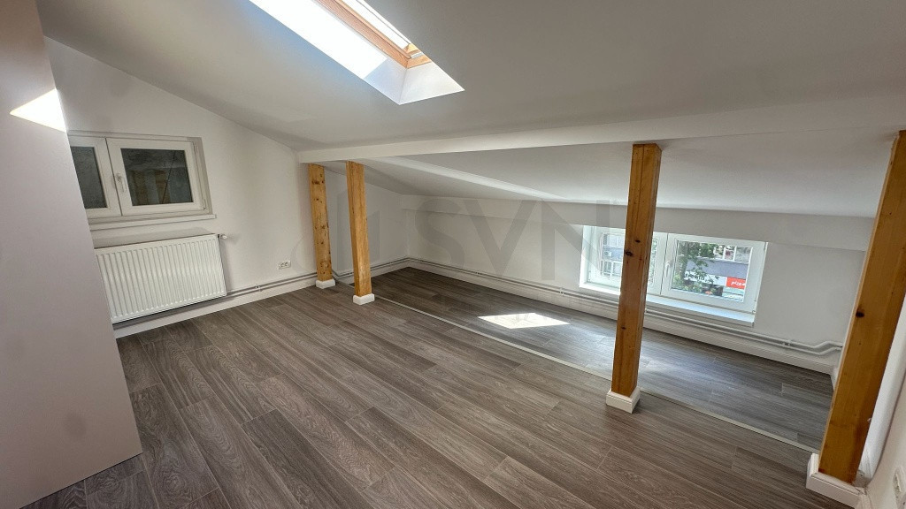 Aparment 4 camere I In vila I Ion Mihalache