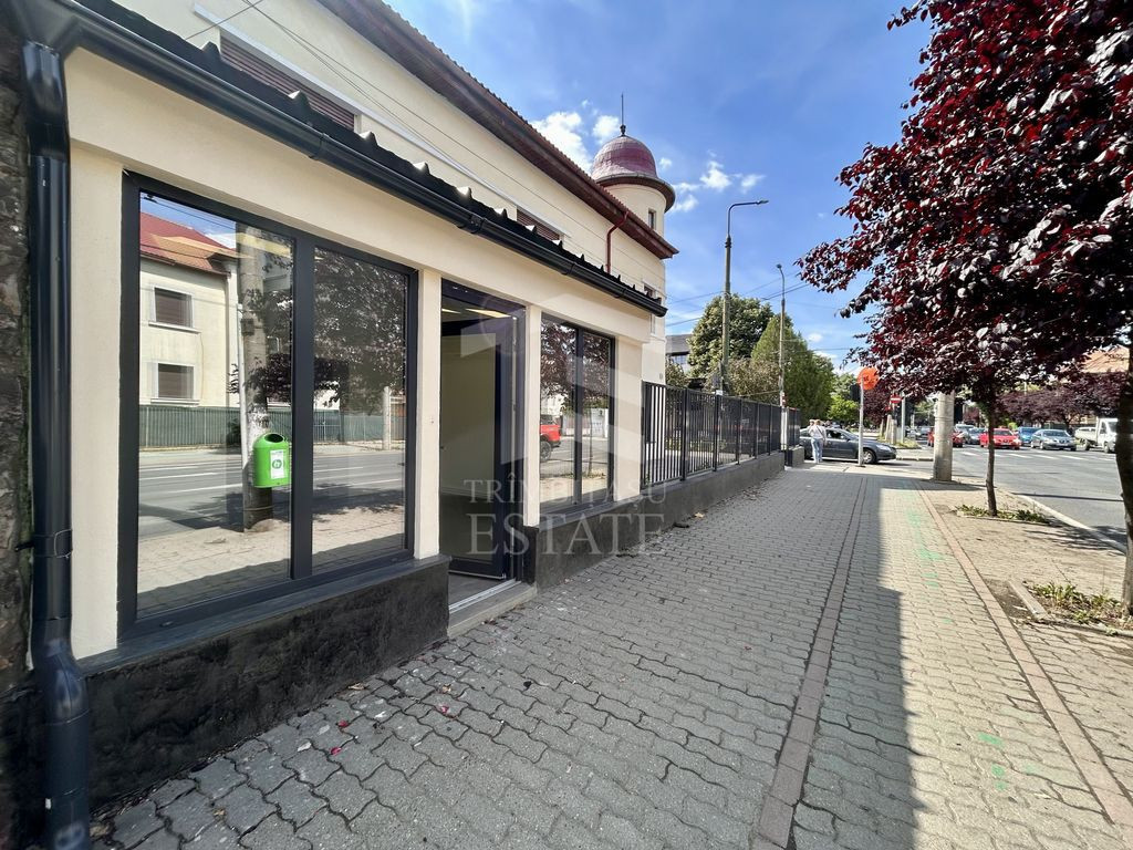 SAD 90 mp | Str. Cluj- Aries | VAD auto si pietonal | tri...