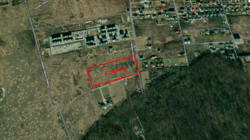 Investitie - teren 27580 mp langa Padurea Baneasa