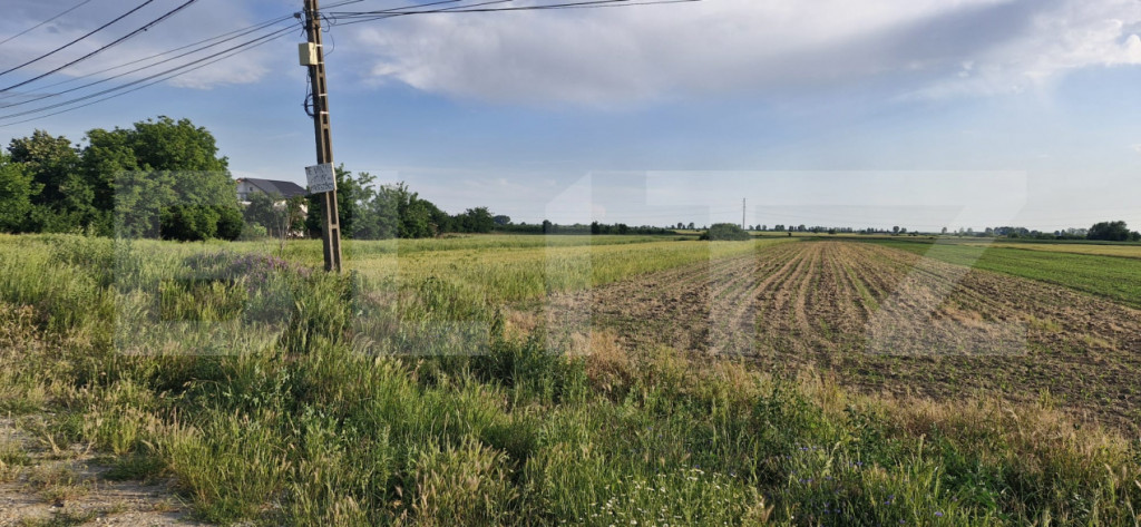 Teren 10.000 mp, potrivit investiție comercial, DN7 Găeșt