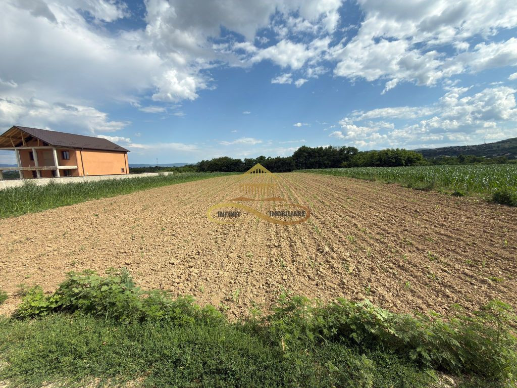 Teren de vanzare in Magura Bacau