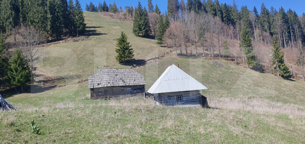 Teren extravilan, cu o suprafata generoasa de 206.189 mp in