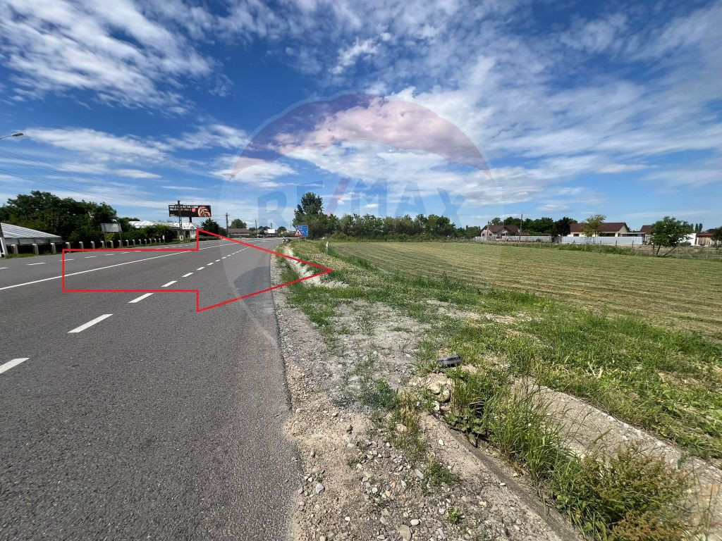 Teren intravilan 3500mp Bizighesti