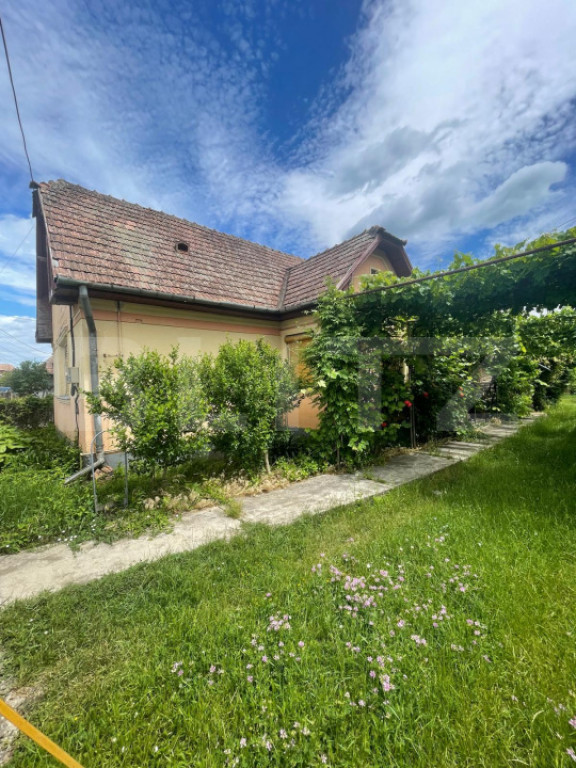 Casa deosebita in Faget