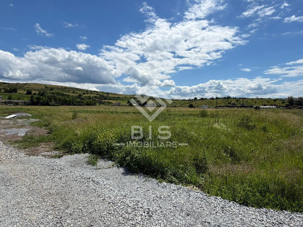 TEREN DE VÂNZARE – STRADA ZĂVOAIE