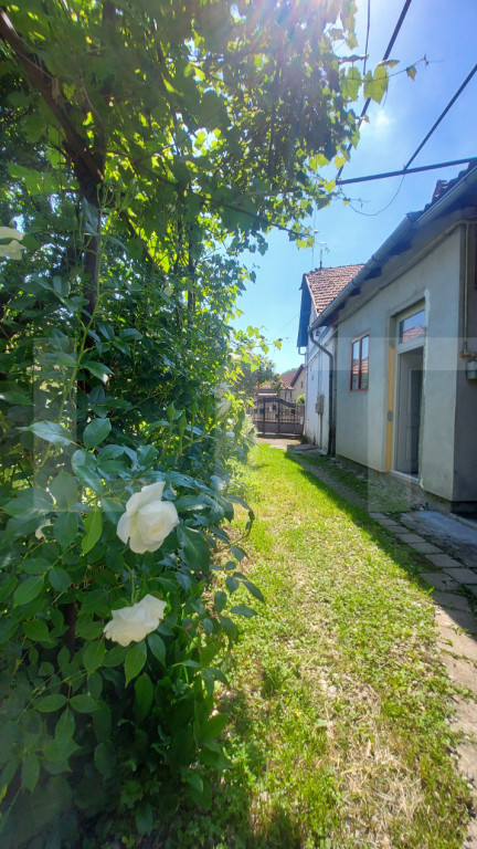 Spatiu comercial central I Vitrina stradala I Curte, Pivnita