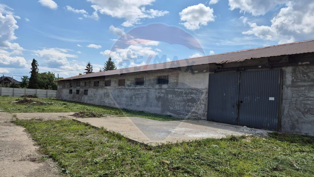 Spațiu industrial/hala de vanzare - Piatra Neamt
