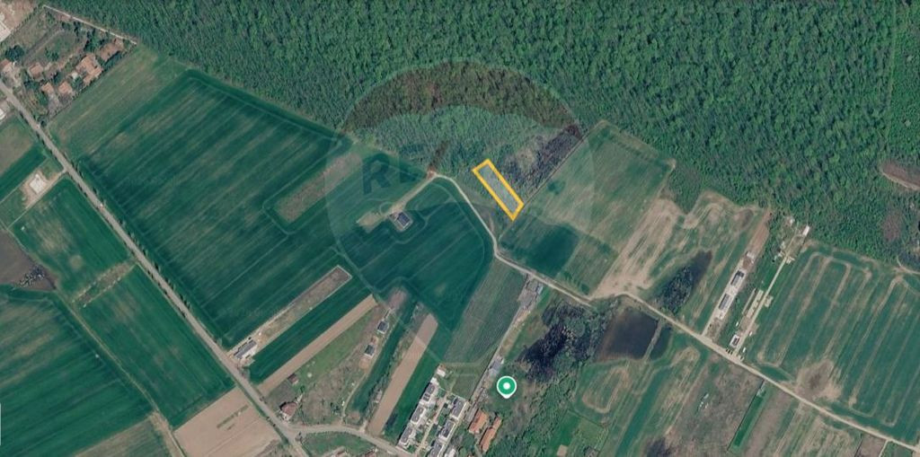 Vanzare Teren Intravilan Padure Izvorani (prin) Strada Fl...