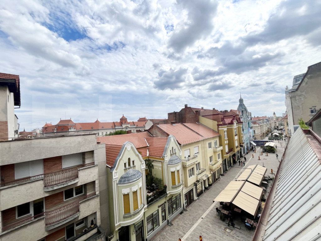 Penthouse exclusivist cu terasa panoramica si finisaje premi
