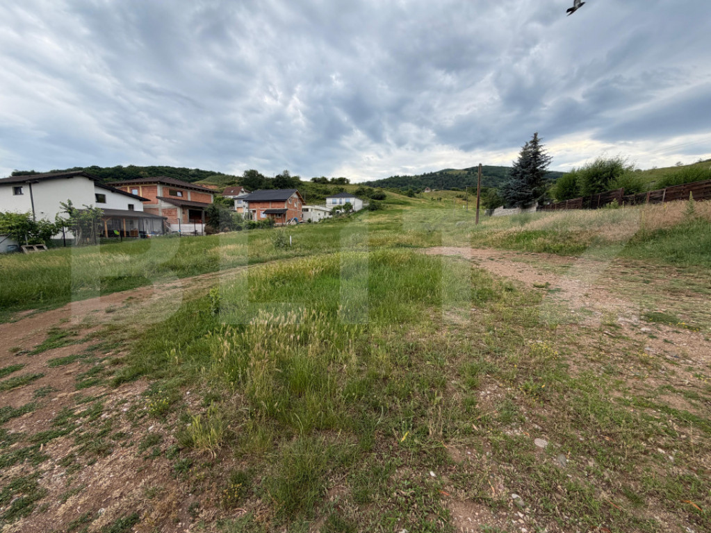 Teren intravilan 3.624 mp, zona Micesti