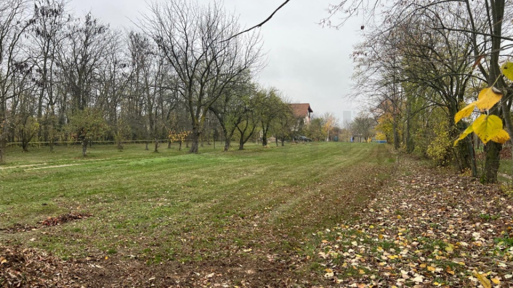 Teren cu deschidere la lac I Snagov