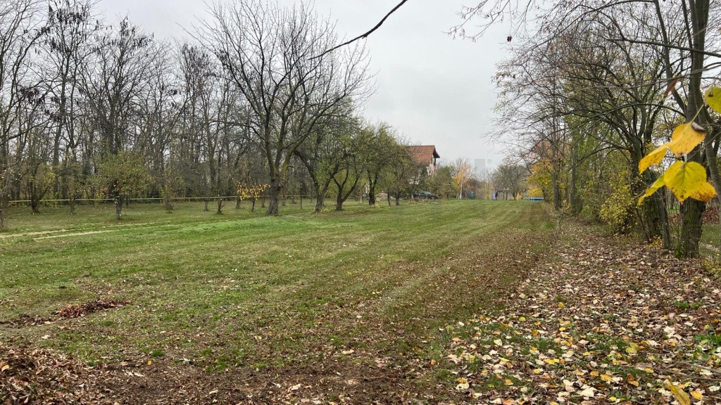 Teren cu deschidere la lac I Snagov