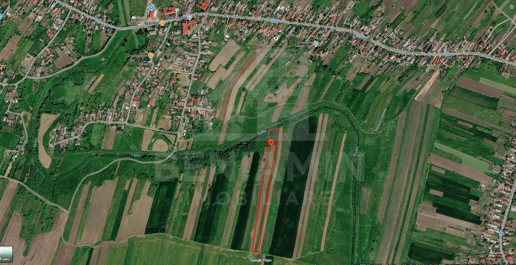 Lot teren 5300mp - Pielesti