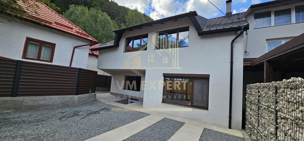 CASĂ 4 CAMERE TEREN 177MP RUCĂR ARGEȘ