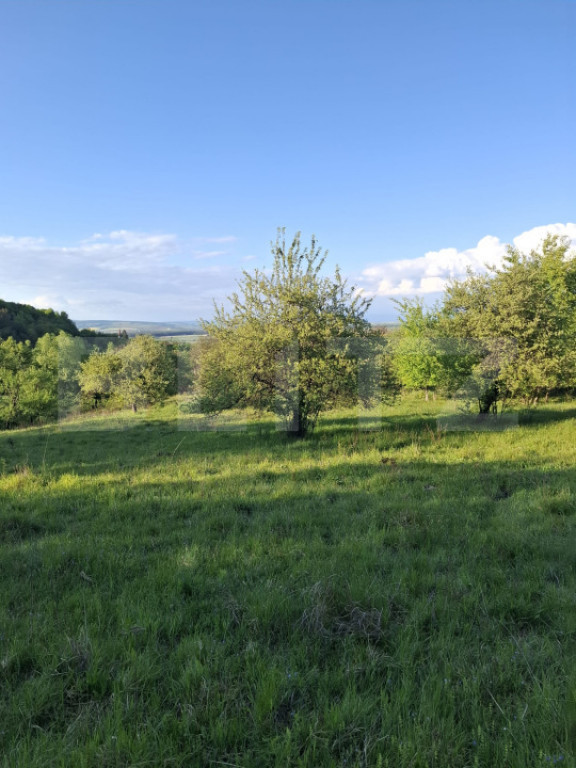 Teren extravilan de vanzare, 10.000 mp, in Valea Zizinului