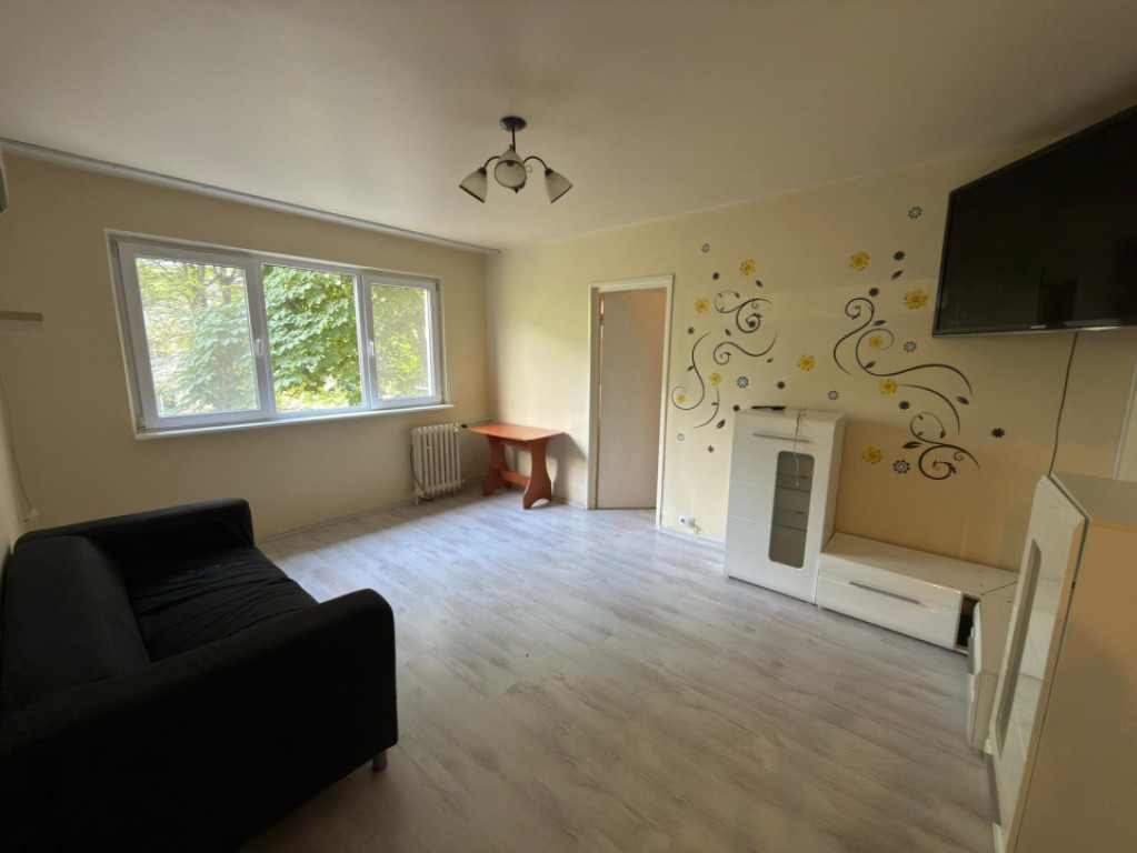 Apartament cu 2 camere, 40 mp, zona Malu Rosu