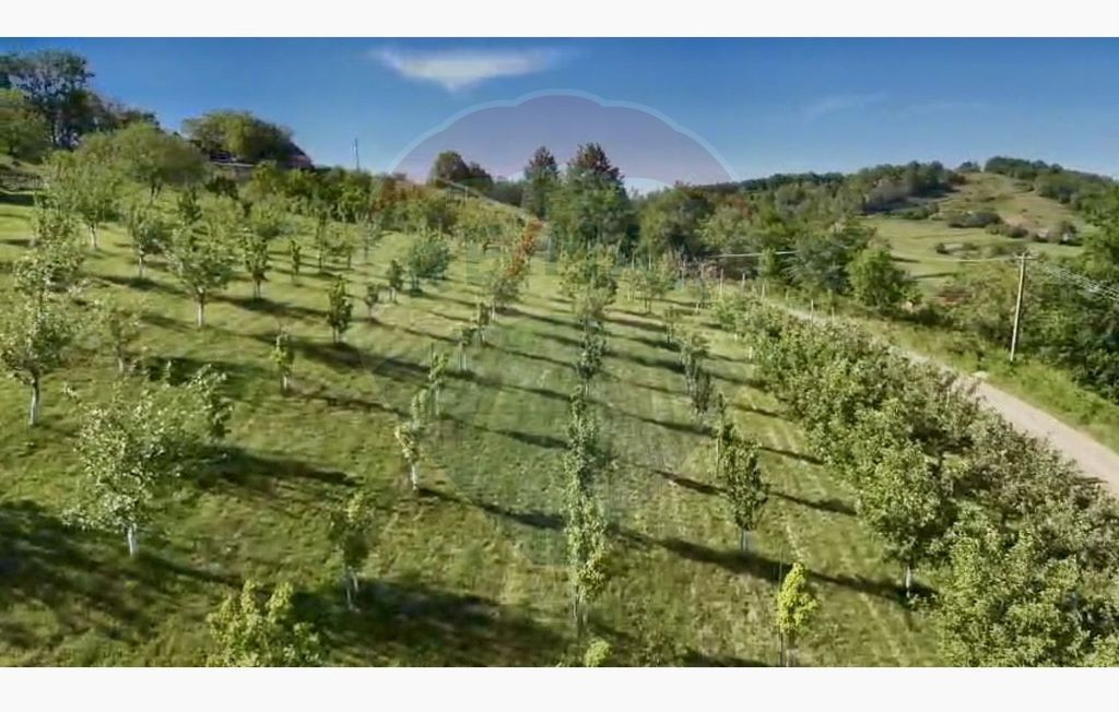 Teren 20.170mp | Livada | Suncuius, Bihor