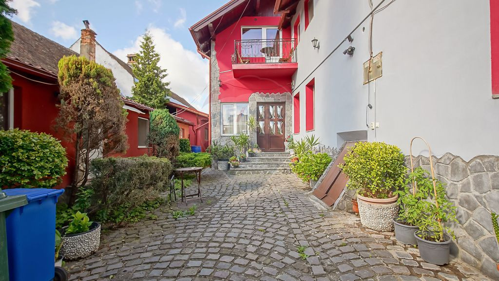 Casă/Pensiune cu locuință separată - Casa Terzea - Co...