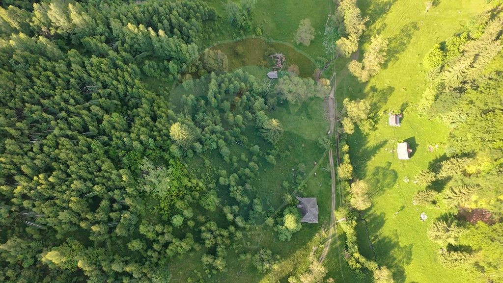 Teren 38,704mp Sirnea | 2.000 mp Intravilan | 36,704 Extr...