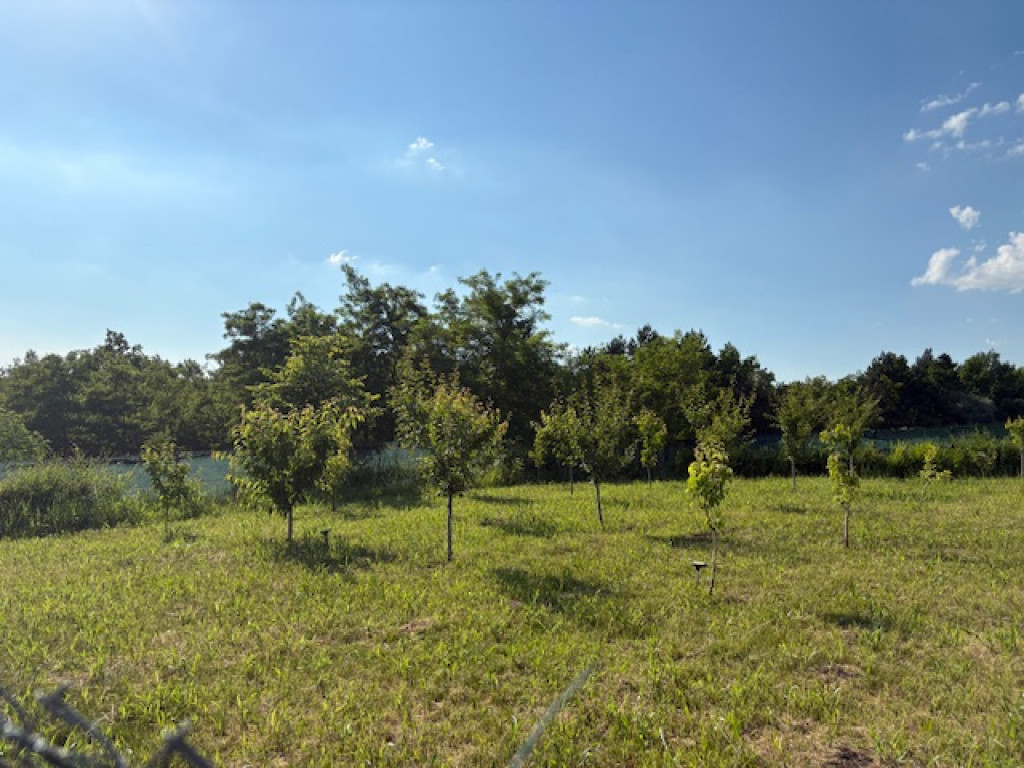 Teren intravilan, 695mp, 28m deschidere,drept, Valea Lupului