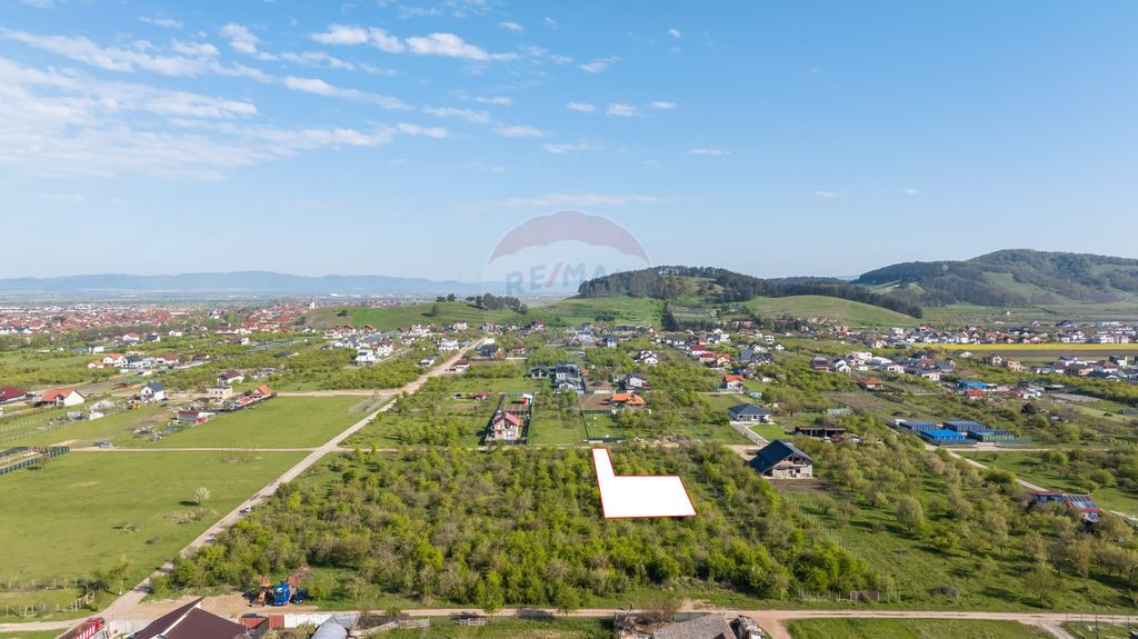 Comision zero: Teren Intravilan Sanpetru, Strada Cetății